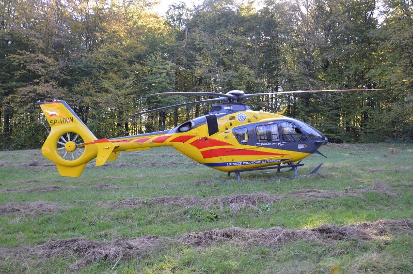 Wypadek w Ujeździe, jedna osoba zginęła, 14 zostało rannych,...