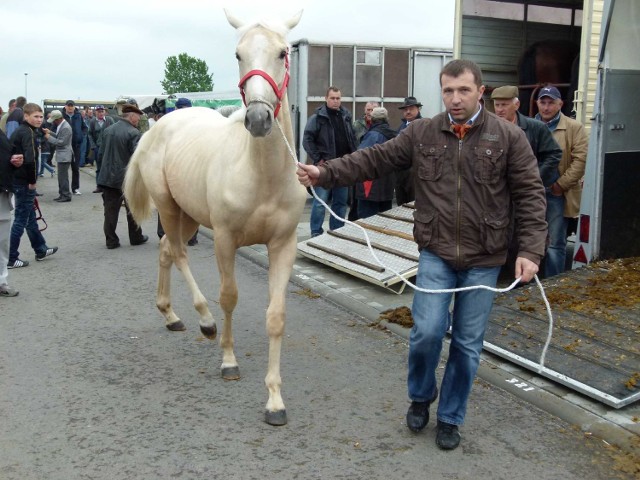 Targi zgromadziły 300 hodowców