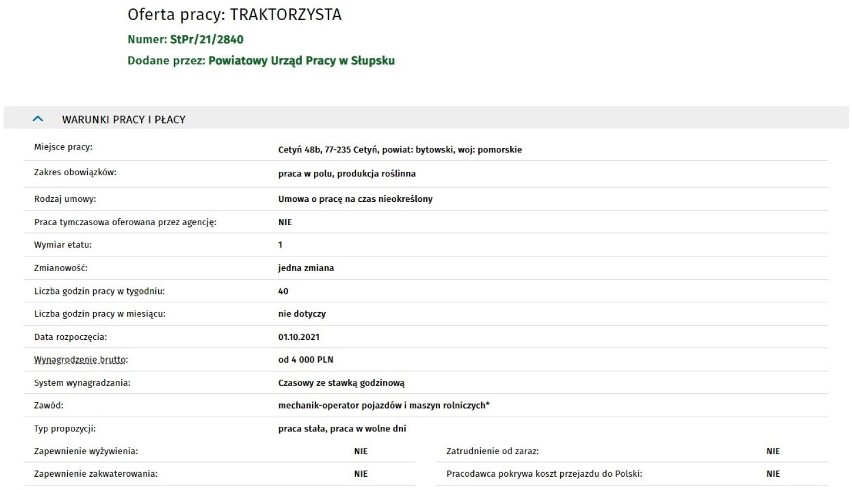 Najnowsze oferty pracy ze Słupska i regionu. Sprawdź kogo poszukują pracodawcy