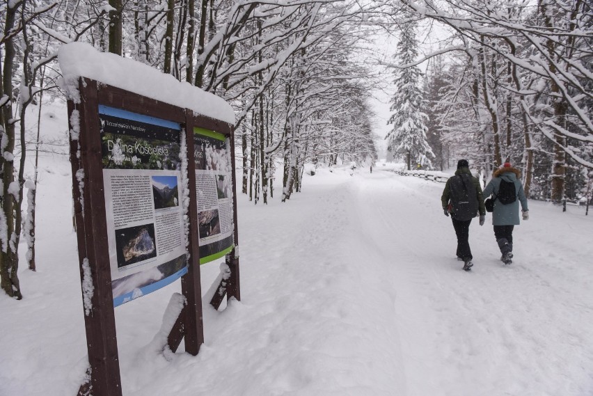 Tatry. Czwarty stopień zagrożenia lawinowego nie wystraszył turystów [ZDJĘCIA]