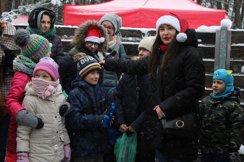 Olkuską „Dolinkę” odwiedzili święty Mikołaj i alpaki