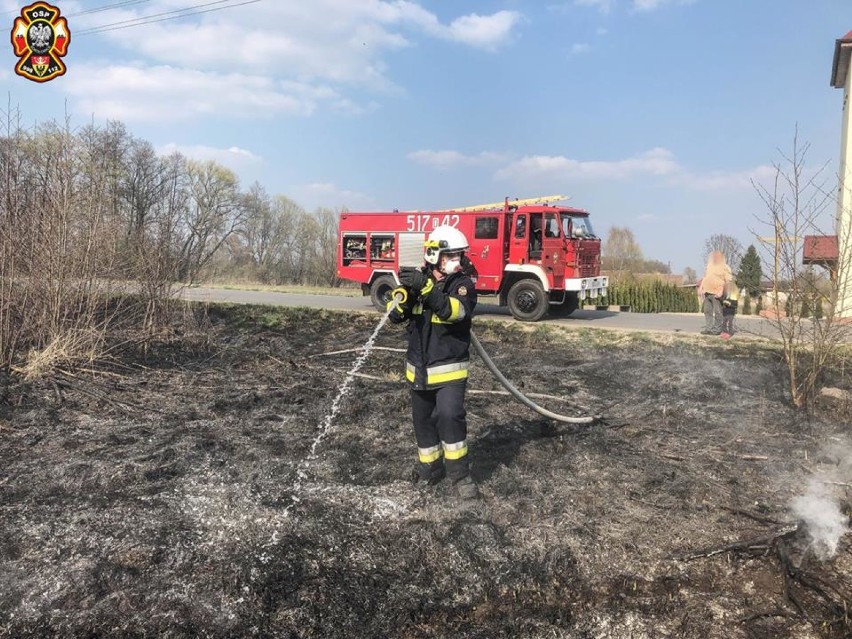 Sokołowice: OSP wyjeżdżało do pożaru traw (GALERIA ZDJĘĆ)