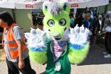 Fursuit Walk 2020. Futrzaki opanowały Kielce! Zobaczcie zdjęcia 