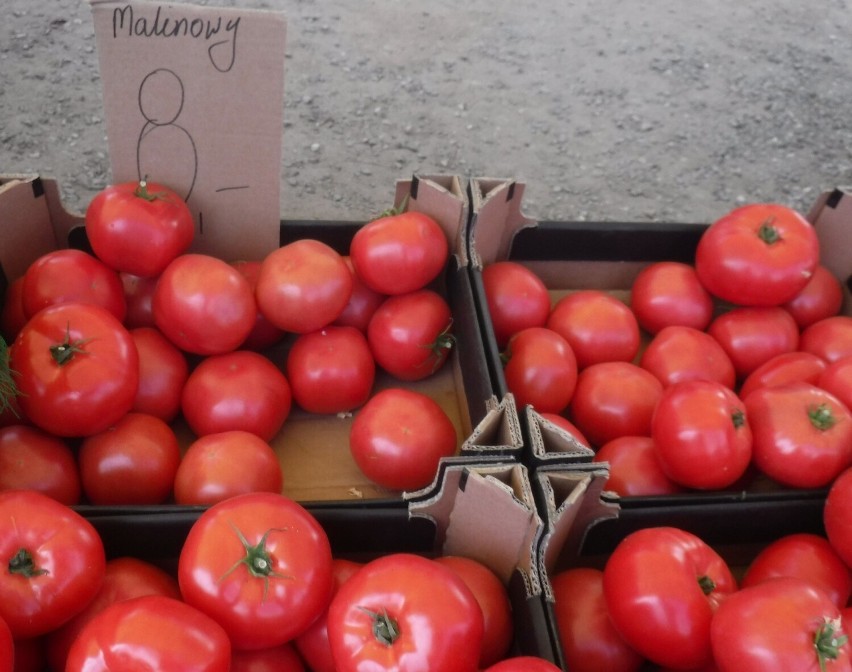 Pomidory malinowe kosztowały 8 złotych za kilogram.