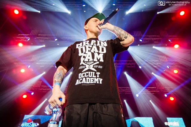 Hip Hop Festiwal 2015. Zobacz zdjęcia