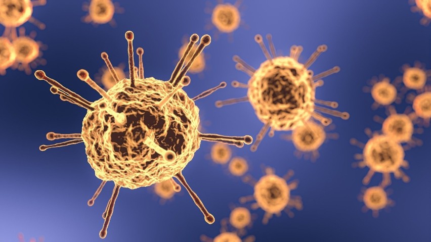 5 kolejnych przypadków koronawirusa na Opolszczyźnie. Od początku epidemii to 972 osoby