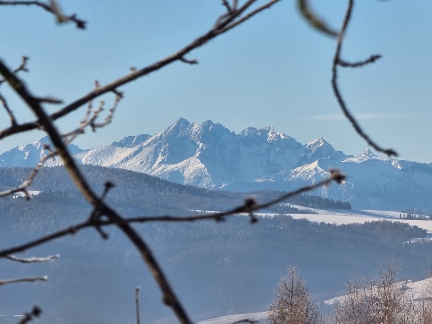 Piękna zima na Sądecczyźnie. Ośnieżone Tatry widać jak na dłoni. Tak prezentują się z Palenicy w Żegiestowie [ZDJĘCIA]