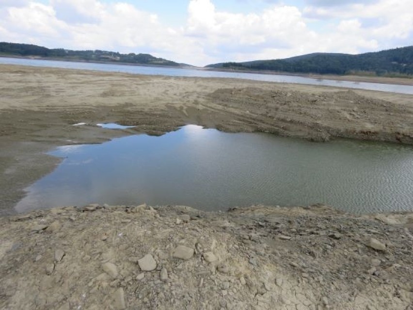 Jezioro Mucharskie lipiec 2019