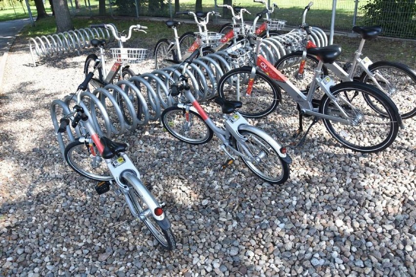 System rowerów miejskich w Oleśnicy cieszy się dużym zainteresowaniem