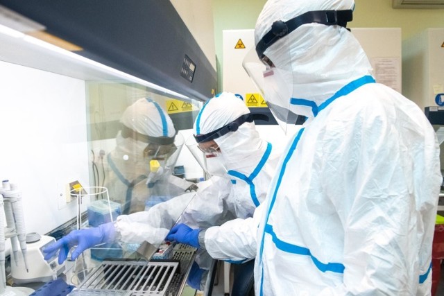 Dane statystyczne dotyczące pandemii koronawirusa w poniedziałek, 24 stycznia 2022 roku.