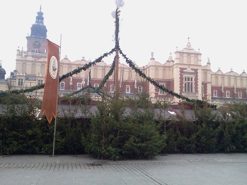 "Żywe choinki" na Starym Rynku w Krakowie. Fot. Krzysztof...