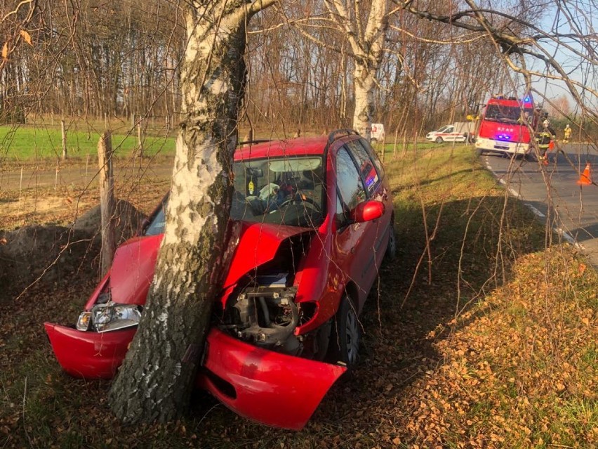 Wypadek w Cichej Górze. Pijany kierowca uderzył w drzewo. Zobaczcie zdjęcia