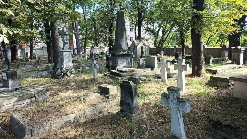 Cmentarz prawosławny w Kaliszu popada w ruinę. Tak dzisiaj...