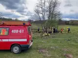 Strażacy z Tuchomia uratowali konia z grzęzawiska