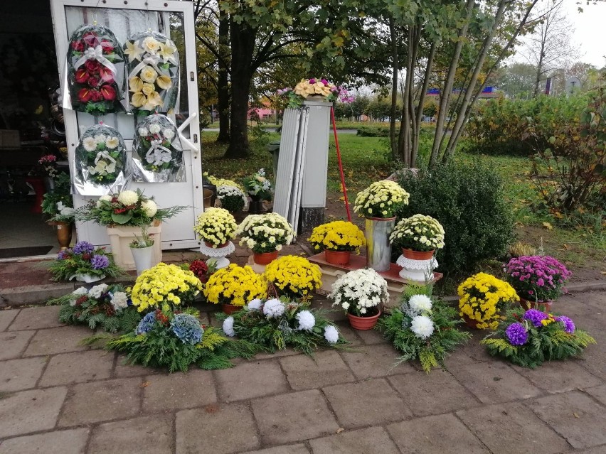Miasto Kołobrzeg odkupi chryzantemy w doniczkach od osób, które miały handlować przed cmentarzem