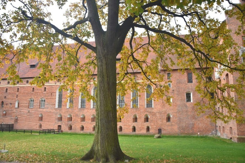 Malbork. Muzeum Zamkowe zaprasza na "Darmowy Listopad". Bezpłatny wstęp również do zamków w Sztumie i Kwidzynie