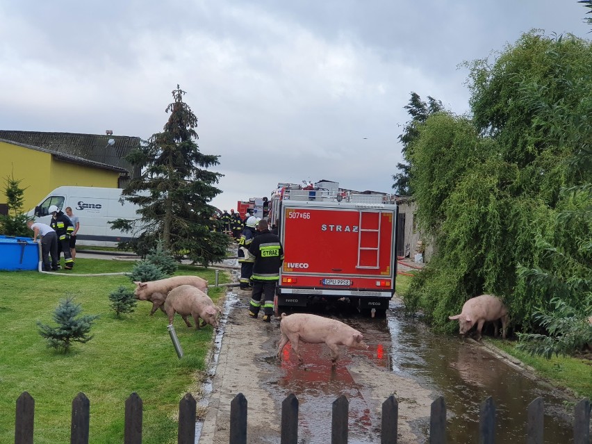 Pożar w Mieroszynie 14.07.2019