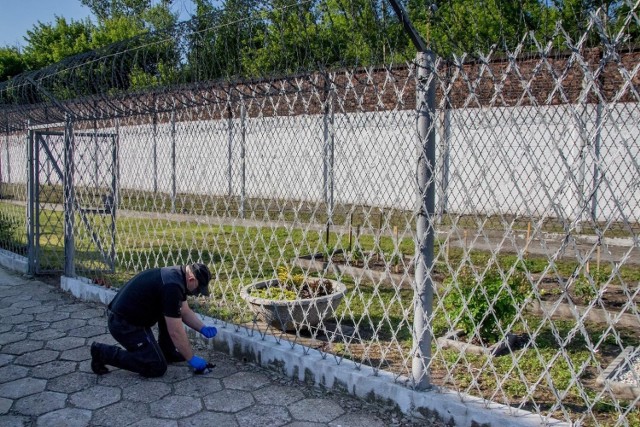 Funkcjonariusz znalazł pakunek z narkotykami przy jednym z ogrodzeń.

Zobacz kolejne zdjęcia. Przesuń zdjęcia w prawo - wciśnij strzałkę lub przycisk NASTĘPNE