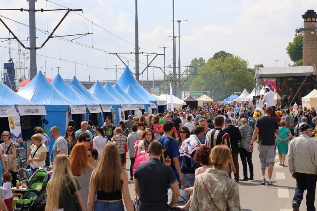 Piknik nad Odrą 2018 w Szczecinie