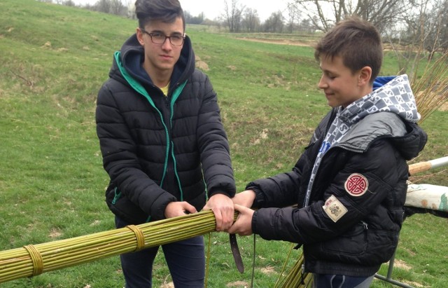 Mateusz i Piotr Leszczyńscy przygotowują palmę