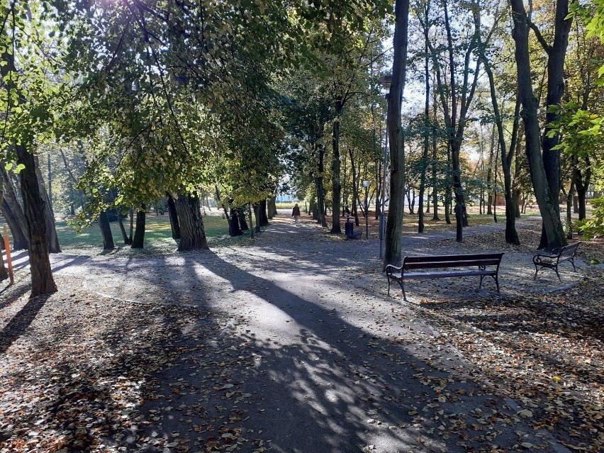 Inowrocławskie Solanki jesienią. O tej porze roku park wygląda szczególnie pięknie [zdjęcia]