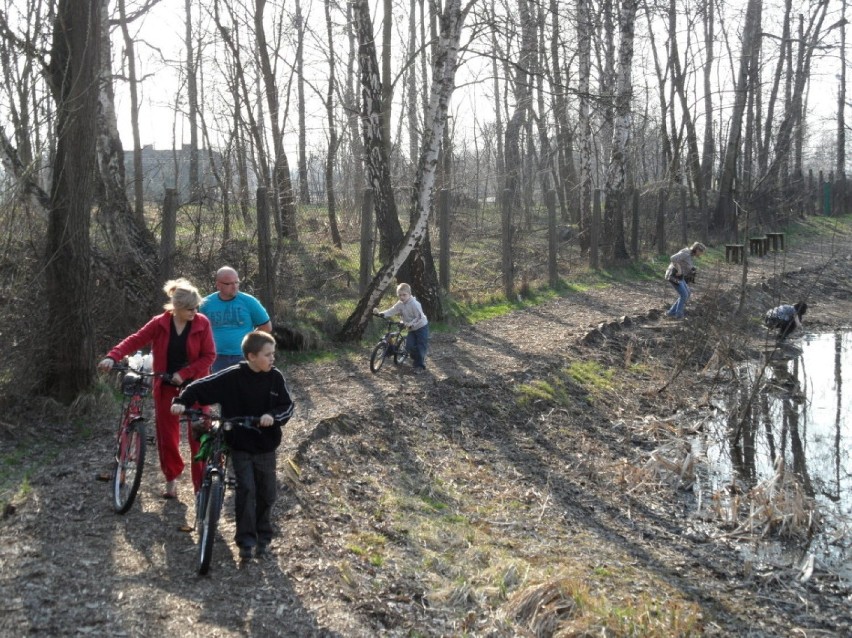 Budżet obywatelski Żory 2015: Który projekt jest najlepszy?