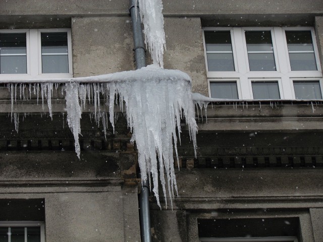Przez ostatni tydzień do Łodzi zawitała prawdziwa zima. Minusowe ...
