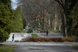 Rząd znosi pierwsze ograniczenia. Można wejść do parków i lasów, jeździć na rowerze, są nowe zasady w handlu ETAPY ZNOSZENIA OGRANICZEŃ