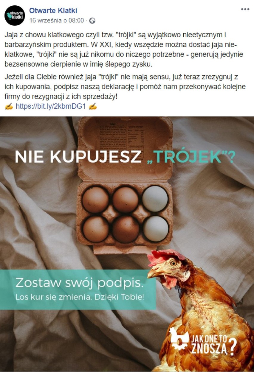 Jajka "trójki" znikną z Biedronki. Popieracie? [SONDA]