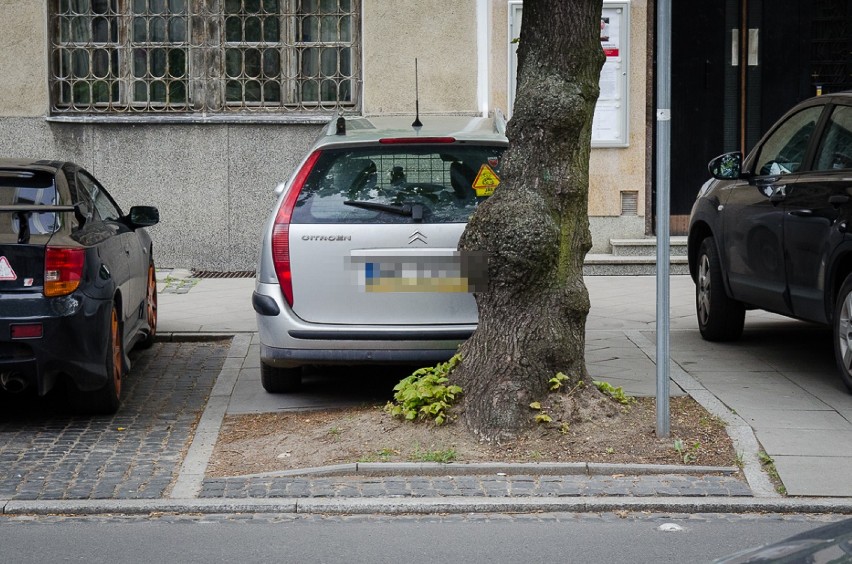 Mistrzowie Parkowania, Warszawa cz. 5. Wiosenny wysyp...