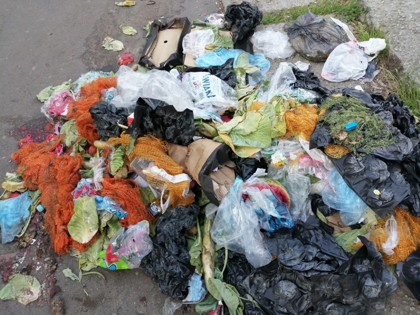 Śmieci na Podzamczu w Wałbrzychu