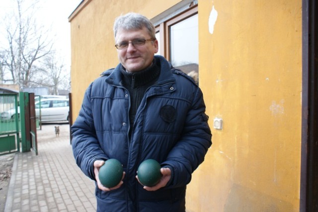 Park Chopina w Koninie. Zwierzęta wyczuły wiosnę?