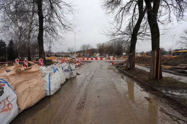 Drzewa rosnące przy skrzyżowaniu ulic Karczówkowskiej i Jagiellońskiej w Kielcach nadal są zagrożone - alarmuje radny.