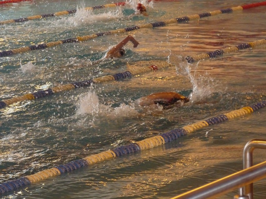 "Mali Mistrzowie"- zawody pływackie!