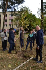 Dzień Drzewa we Wronkach