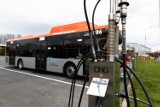 Zobacz, jakimi autobusami jeżdżą mieszkańcy Rzeszowa. Są elektryczne, na olej napędowy i na gaz CNG. Są zwykłe i przegubowe [ZDJĘCIA]