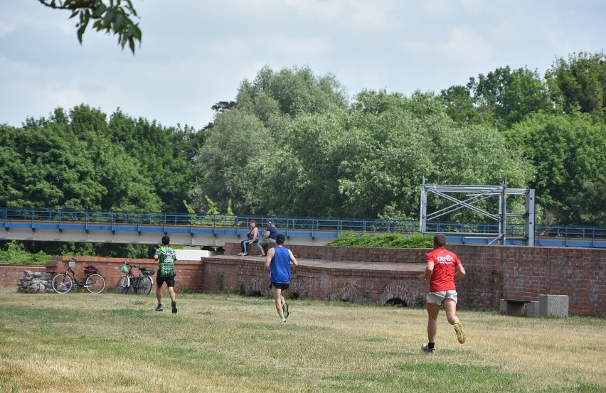 Malbork. V Bieg oraz Marsz Nordic Walking Wałami von Plauena [ZDJĘCIA cz. 2]. Rywalizacja na trasie i medale na mecie 