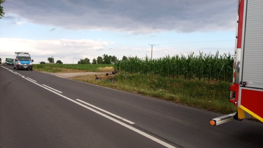 Wypadek w gminie Choceń