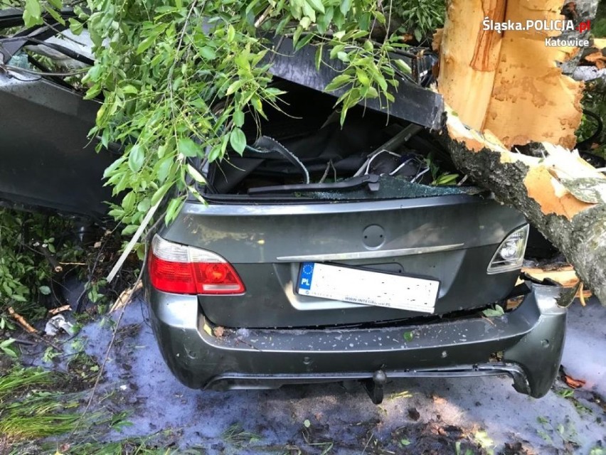 Koszmarny wypadek w Katowicach na Beskidzkiej. Kierowca BMW uderzył w drzewo 