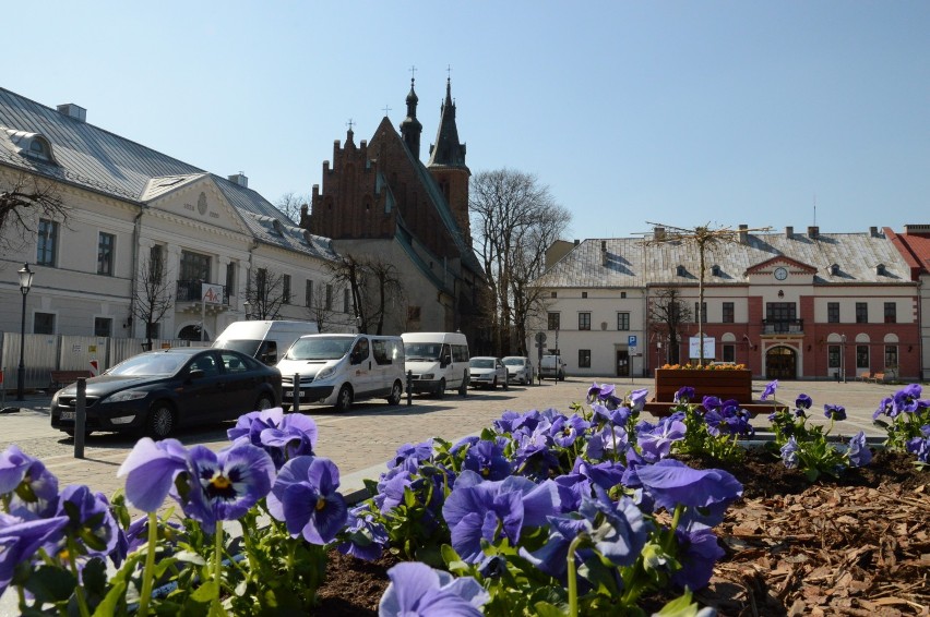 Rynek w Olkuszu