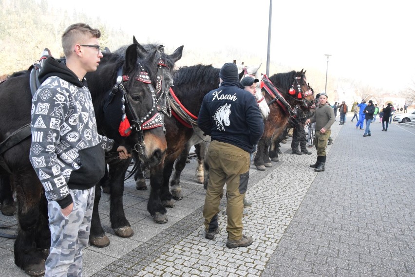 Węgierska Górka: Zawody Furmanów 2019 [ZDJĘCIA]. Oto robota dla prawdziwych twardzieli.