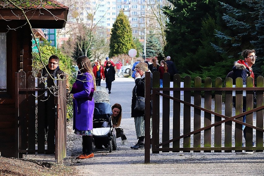Weekend w Łodzi! Wielu łodzian odwiedziło Ogród Botaniczny [ZDJĘCIA]
