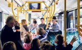 Dąbrowa Górnicza rozkład jazdy autobusów: 116 wraca, dla pozostałych nadal objazdy 