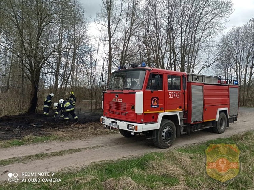 Strażacy z Ochotniczej Straży Pożarnej w Ińsku gasili pustostan, a wcześniej przydrożne gałęzie. ZDJĘCIA