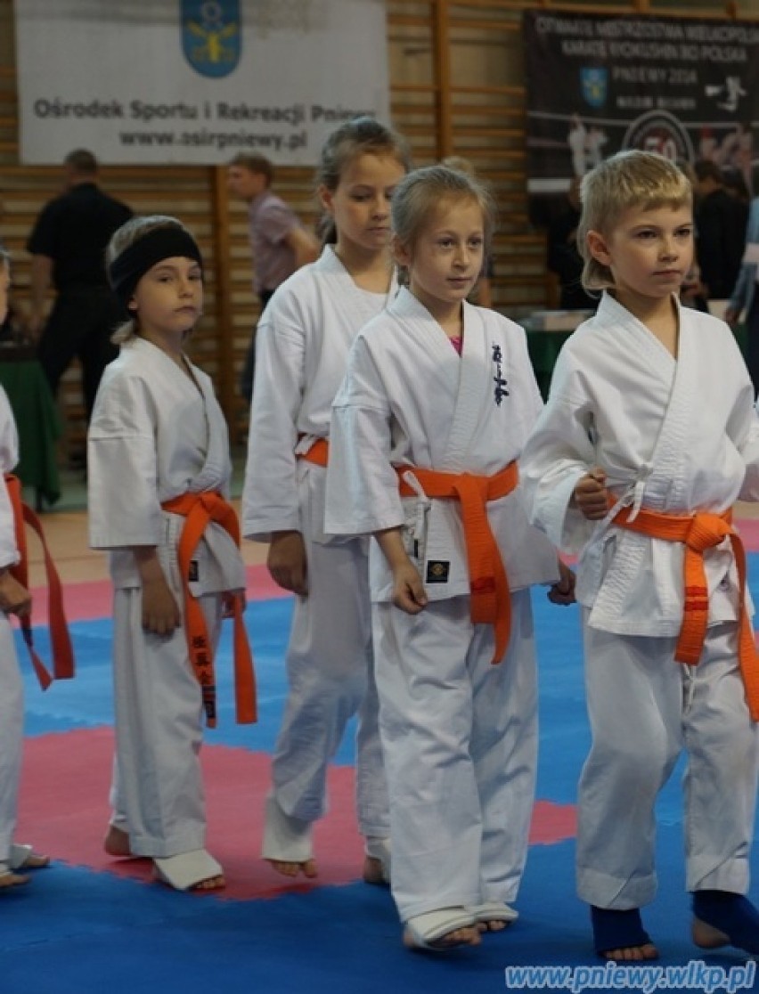 Otwarte Mistrzostwa Wielkopolski Karate Kyokushiun Iko Polska - Pniewy 2014