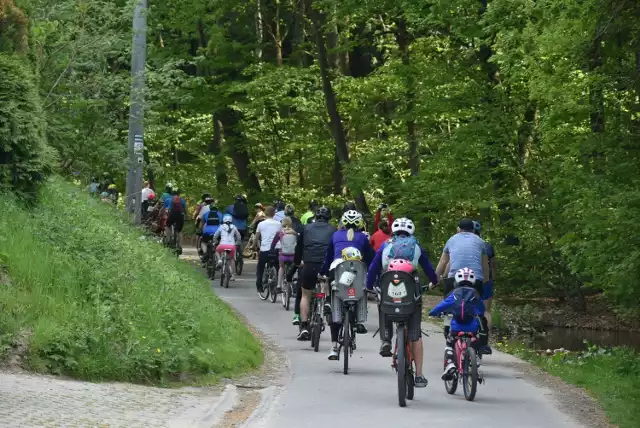 Dla wygody turystów, rowerzystów, spacerowiczów, wspinaczy na jurajskich terenach mają powstać punkty sanitarno-informacyjne