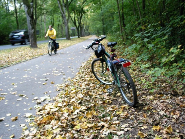 Początki urokliwej jesieni na podmiejskiej drodze rowerowej wzdłuż ul. Arciszewskiego