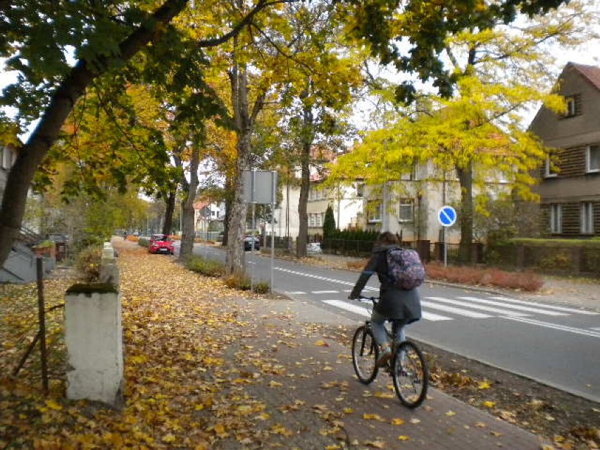 Gdy opadłe liście są suche, to przyjemnie chrzęszczą pod...