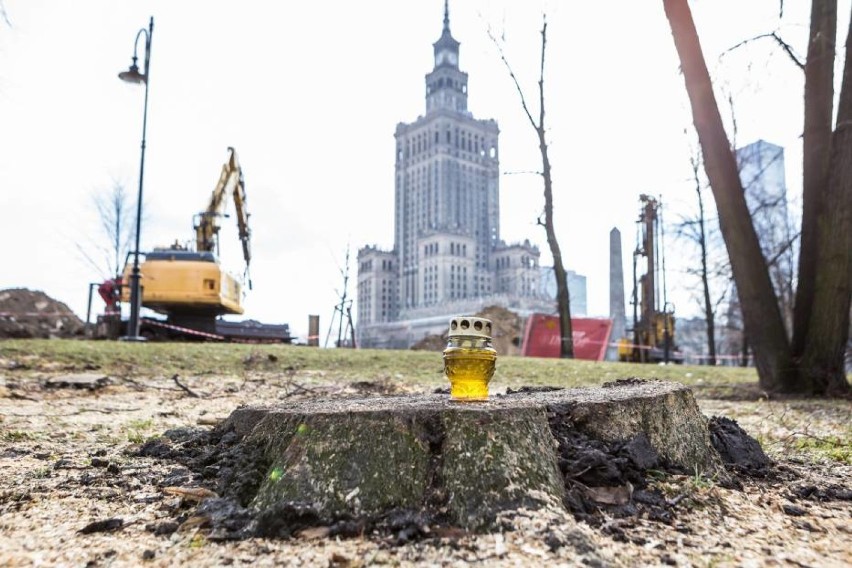 Mieszkańcy Woli mogą sprawdzić, gdzie i dlaczego wycinane są...