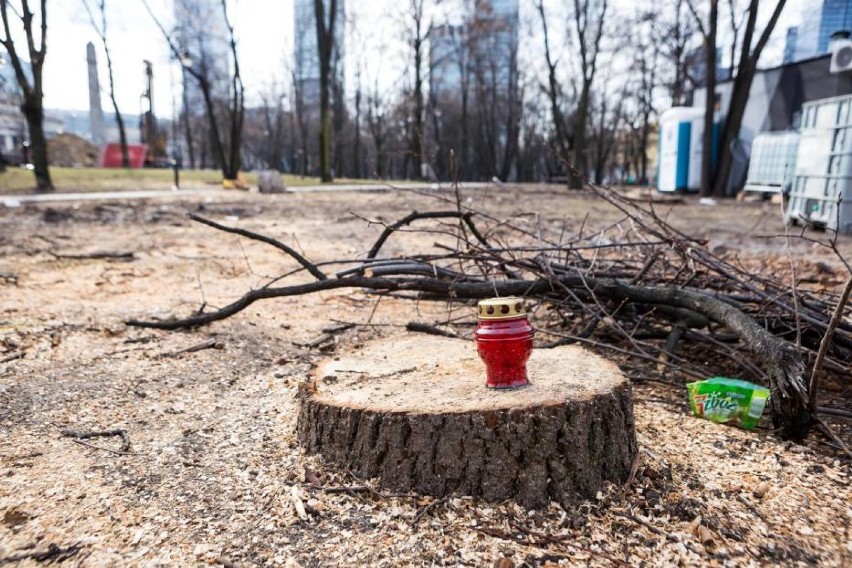 Mieszkańcy Woli mogą sprawdzić, gdzie i dlaczego wycinane są...